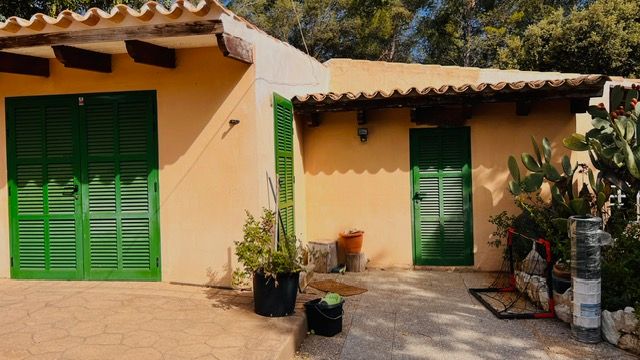 Rustic stucco house exterior with bright green shutters and doors alongside potted cacti and plants.