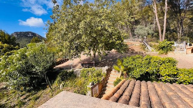 Terraced garden path with stone steps and lush Mediterranean vegetation on a hillside.