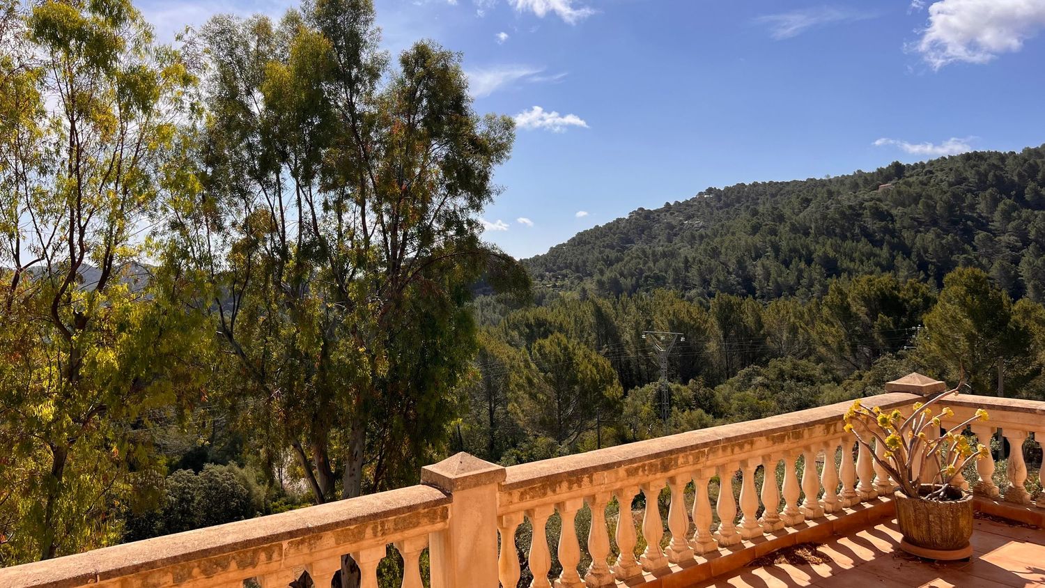 Stone balustrade terrace overlooking a scenic mountain valley with eucalyptus trees.