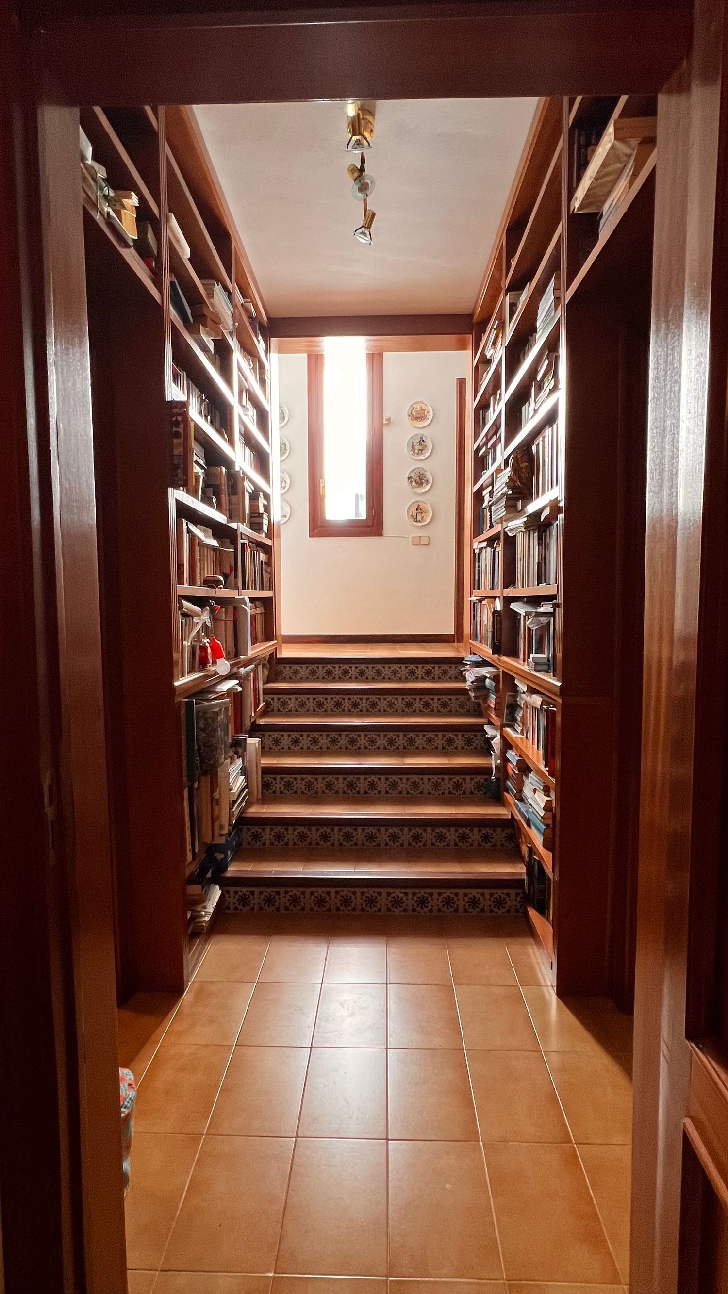 Cozy library hallway with wooden bookshelves and carpeted steps leading to a door with natural lighting.