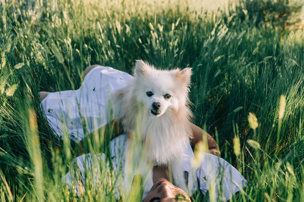 Dog Mom Photoshoot Northern Utah