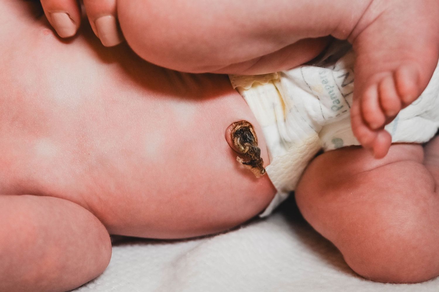 Umbilical cord photo during a newborn session near Hudson, NY
