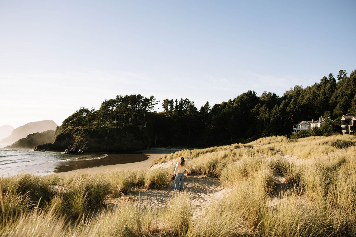Coastal landscape with tall grass and trees along a beach at sunset.