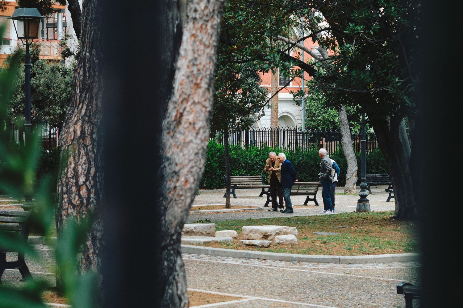People relaxing on benches in a park viewed through tree trunks.