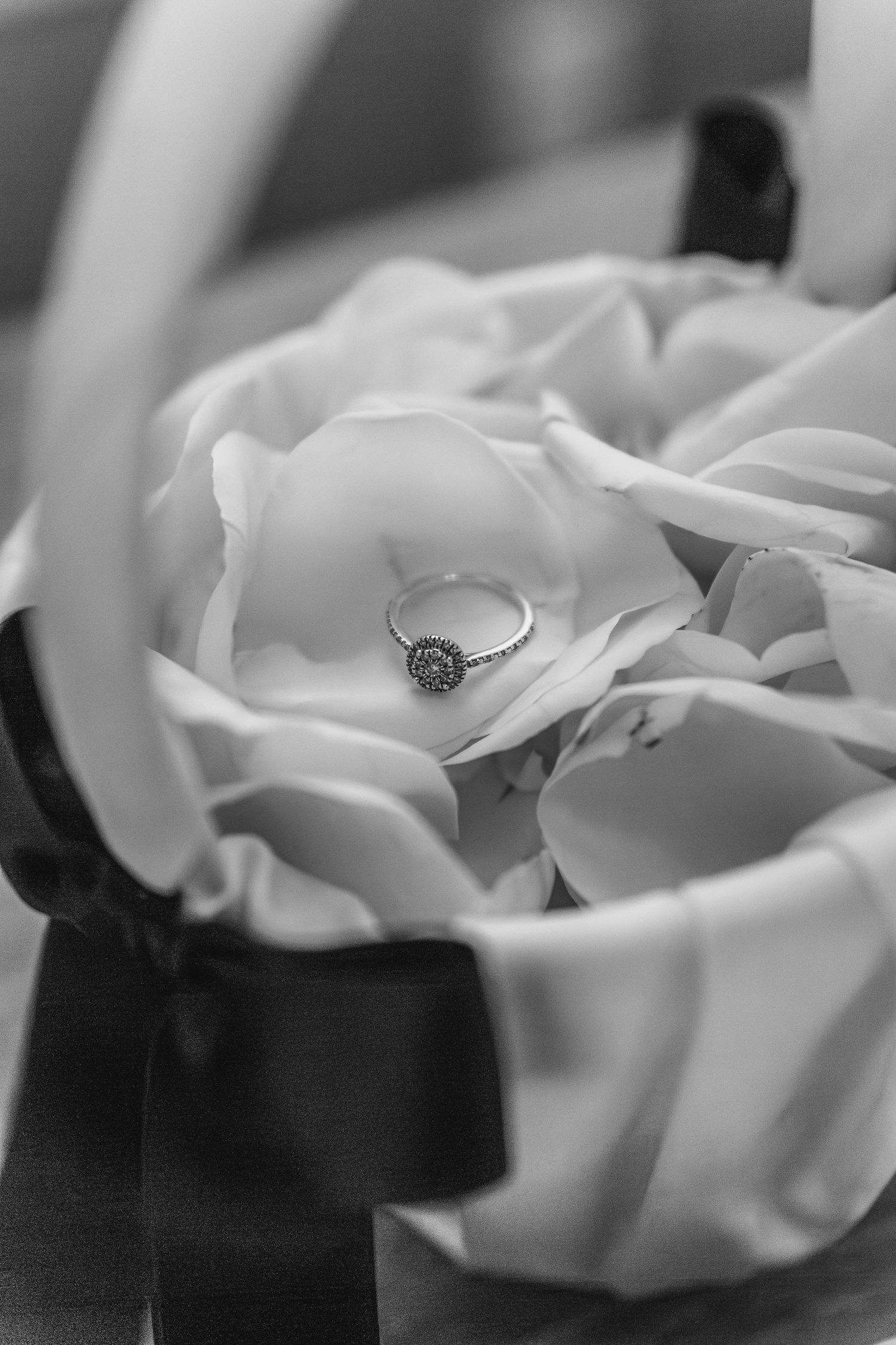 Black and white maternity photo showing gentle embrace of a pregnant belly in an outdoor setting.