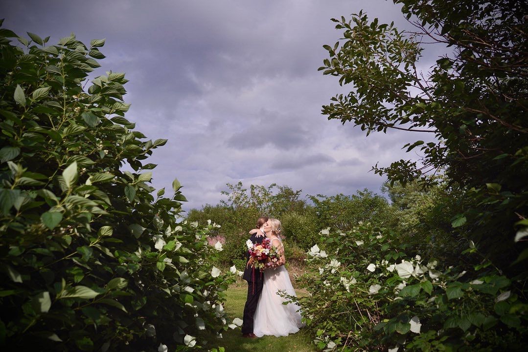 Newlyweds kissing among wild rosehips on Signal Hill, St. John's, Newfoundland.