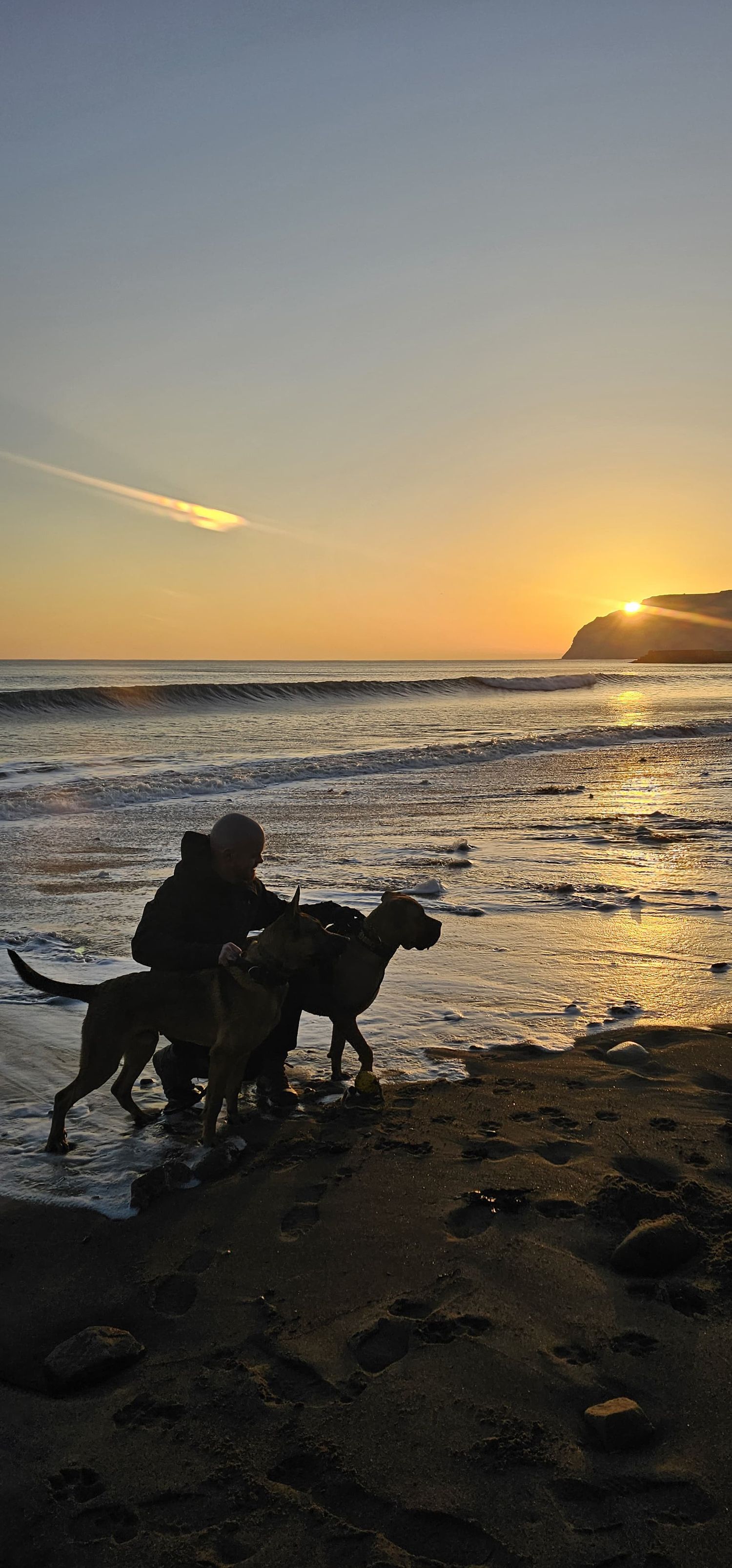 Silhouettes of dogs playing on a beach at sunset with waves crashing in the background.