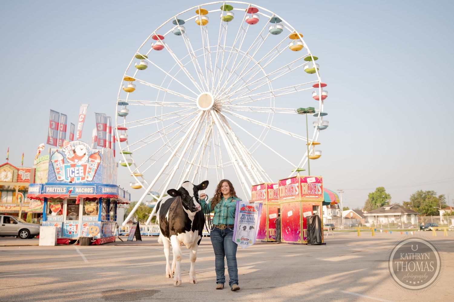 Black and white dairy cow stands with handler in front of a colorful ferris wheel at a county fair.