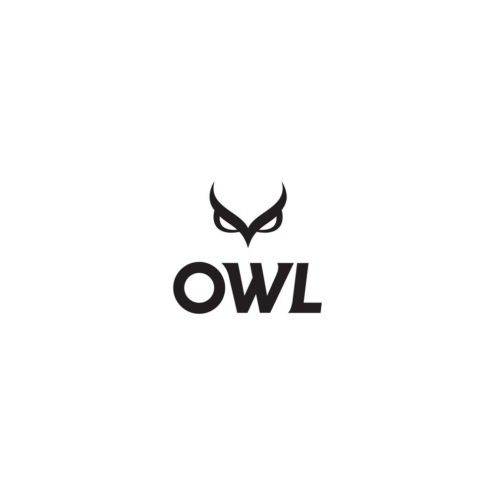Minimalist black owl logo design with stylized wings above text.