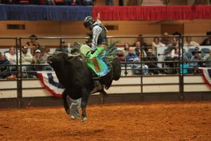 Bull rider gets thrown off during intense rodeo competition at indoor arena.