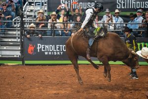 Professional bull rider attempts to stay mounted on bucking bull at indoor rodeo event.
