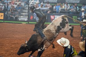 Bull rider gets thrown from aggressive bull during intense rodeo competition.
