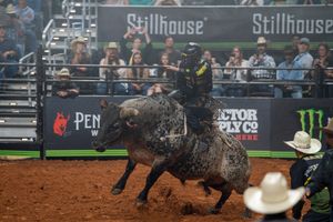 Rodeo bull charges through dirt arena during professional competition.