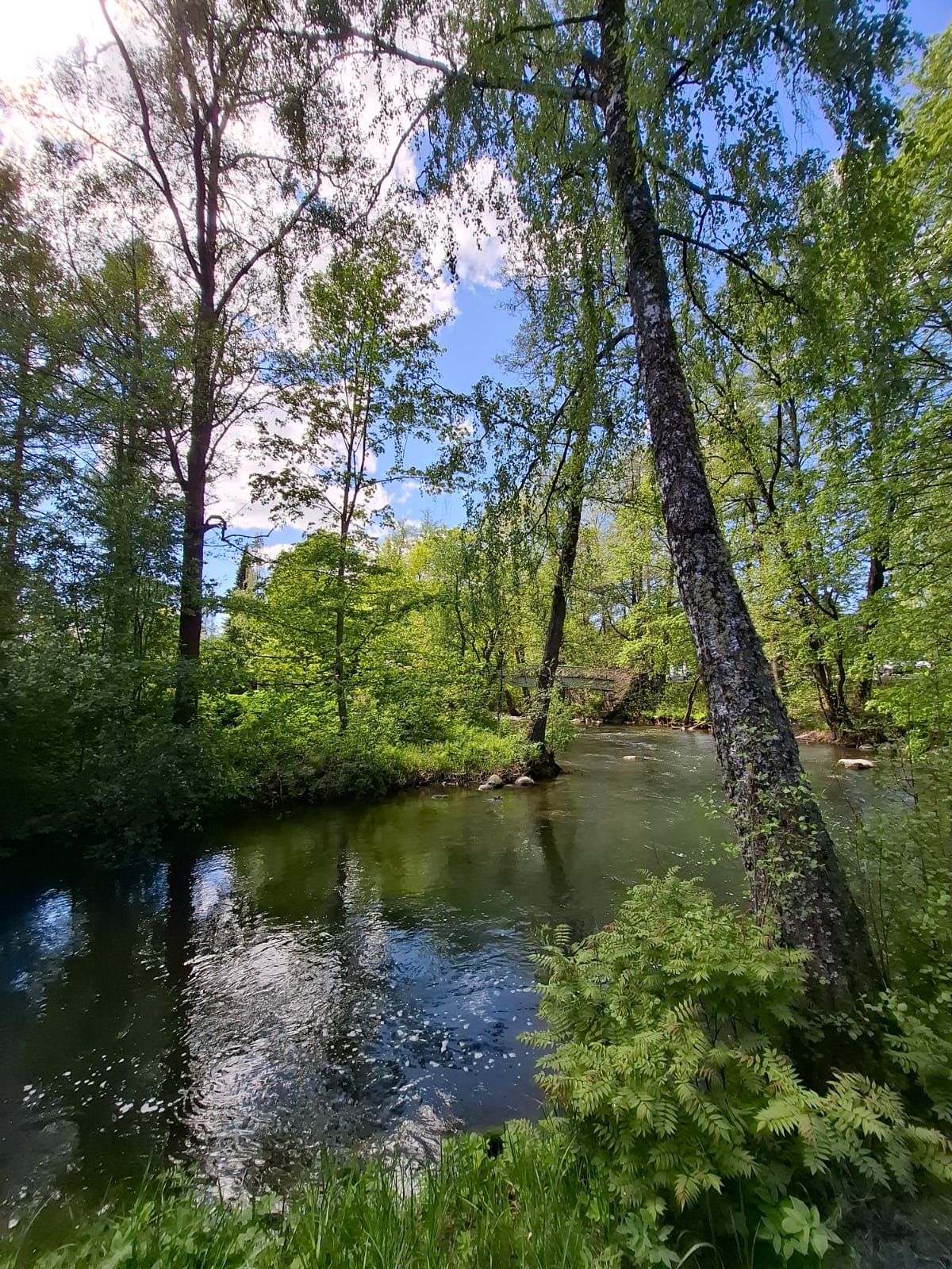 Vääksynjoen mutka terasslita.