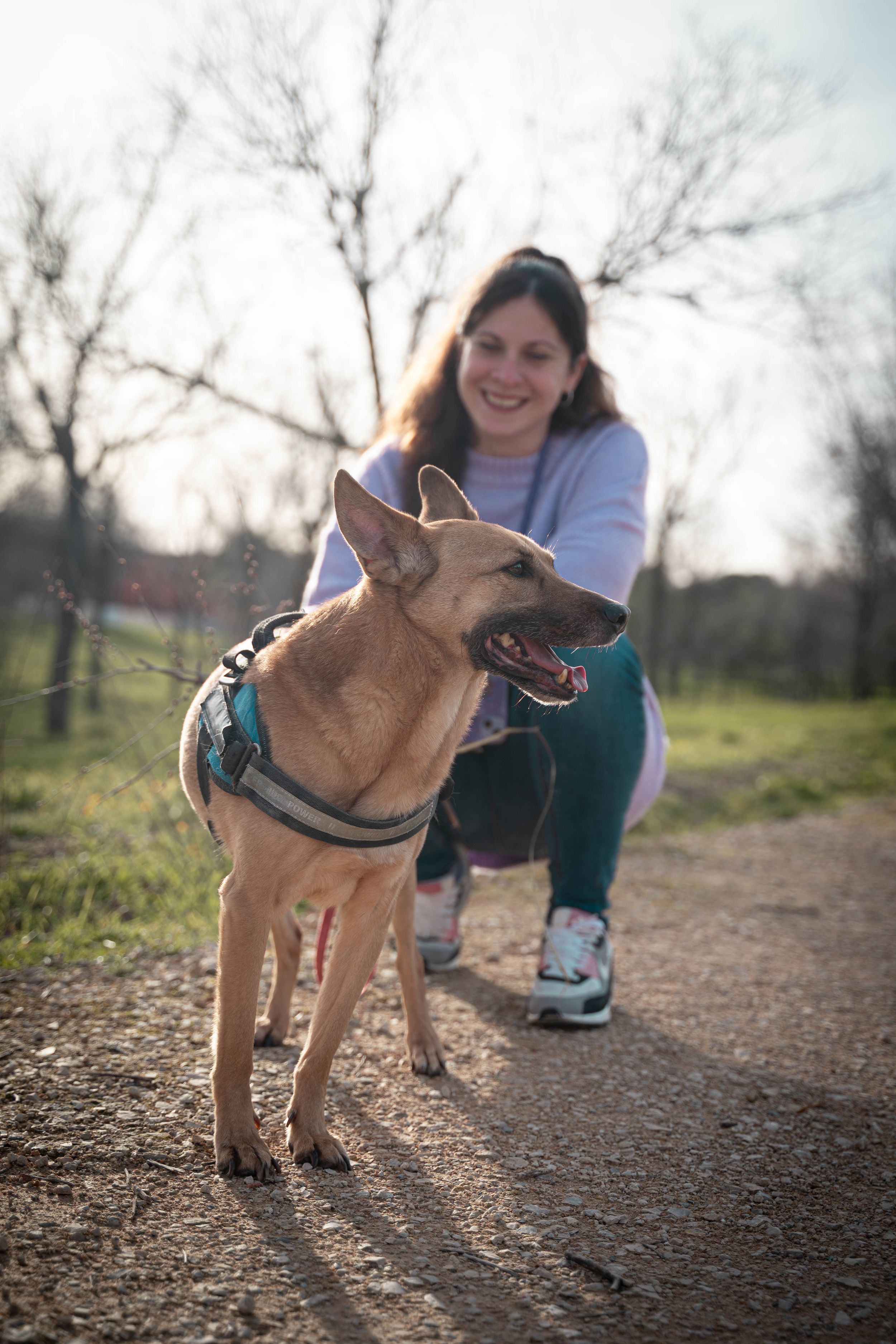 Fotografía de familia multiespecie en Madrid, perros