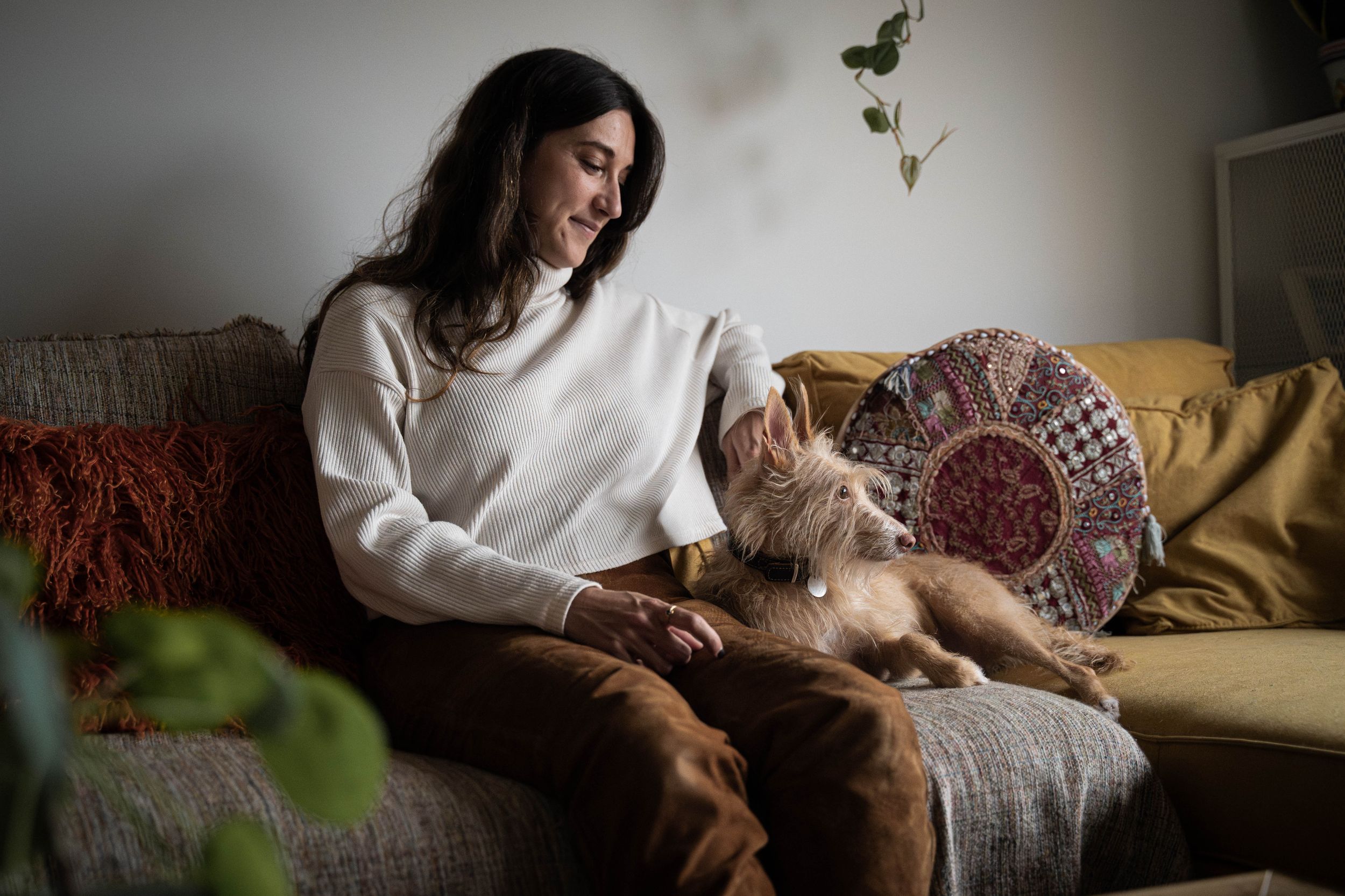 Fotografía de familia multiespecie en Madrid, perros