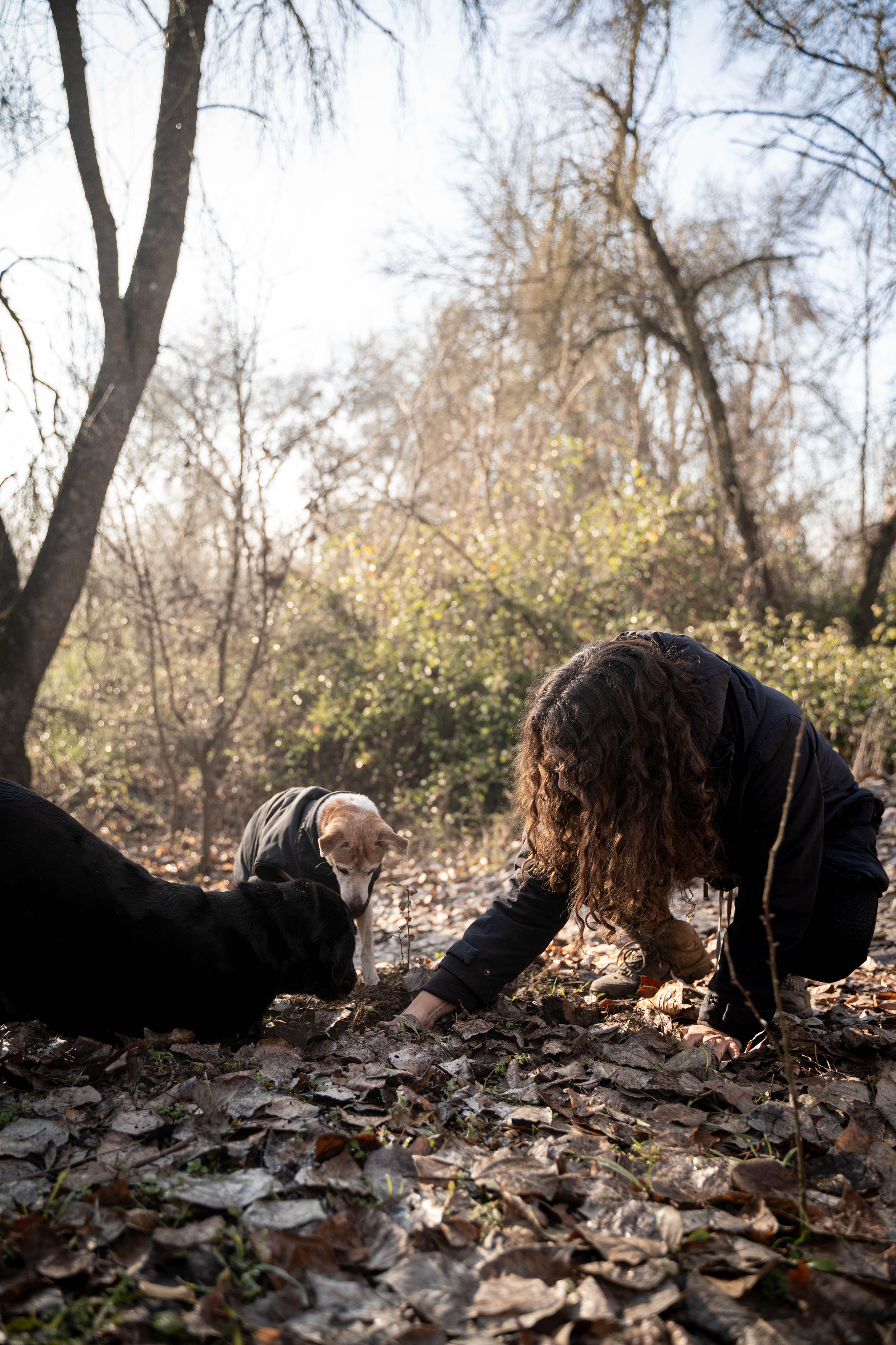 Fotografía de familia multiespecie en Madrid