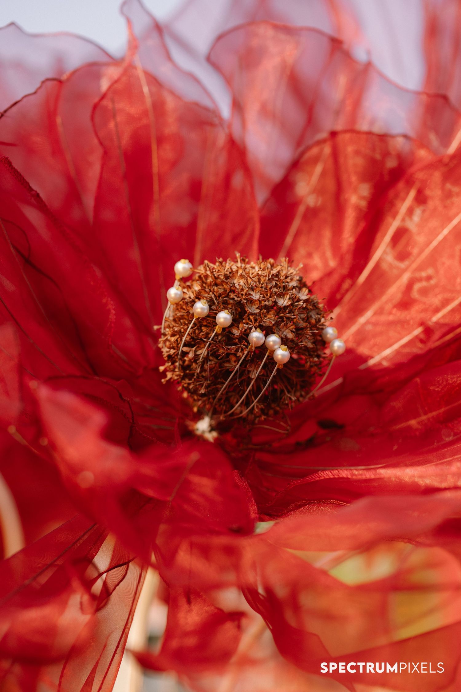 Extreme closeup of a vibrant red poppy flower showing delicate petals and center stamen details.