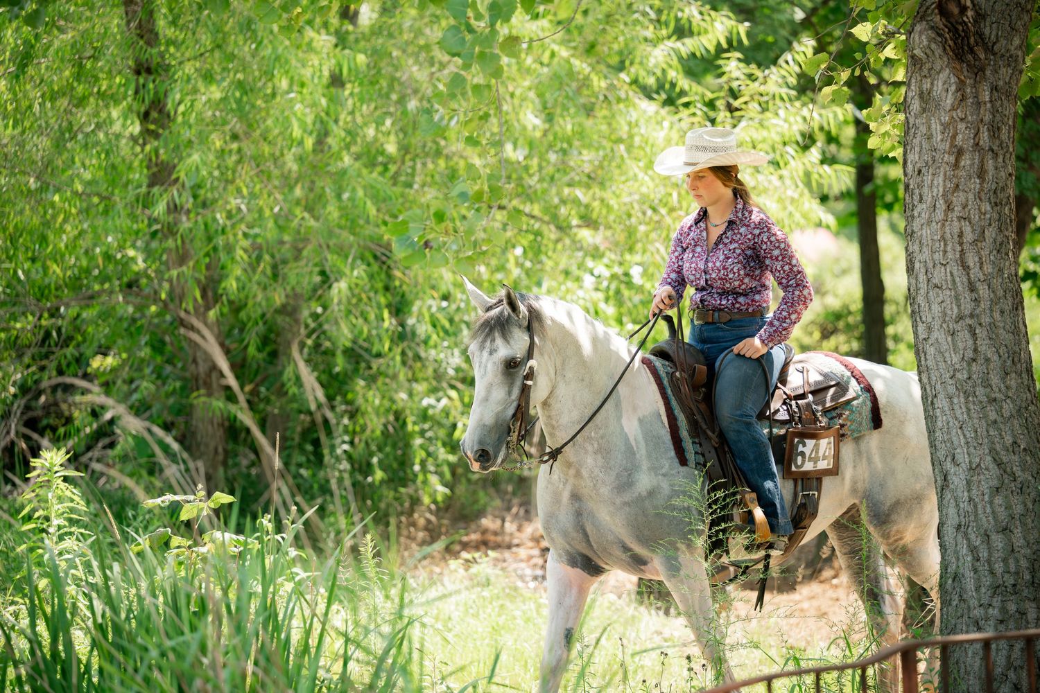 Rider on white horse travels through lush green forest trail.