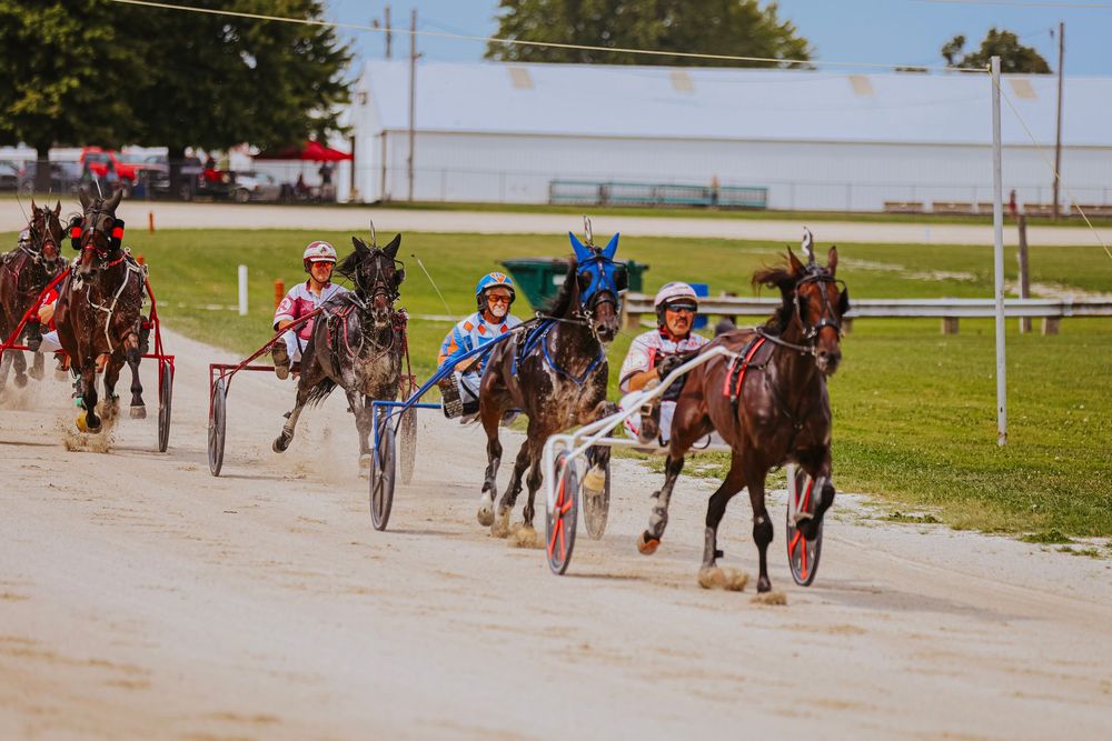 Harness racing horses and jockeys compete on a dirt track at a sunny outdoor raceway.