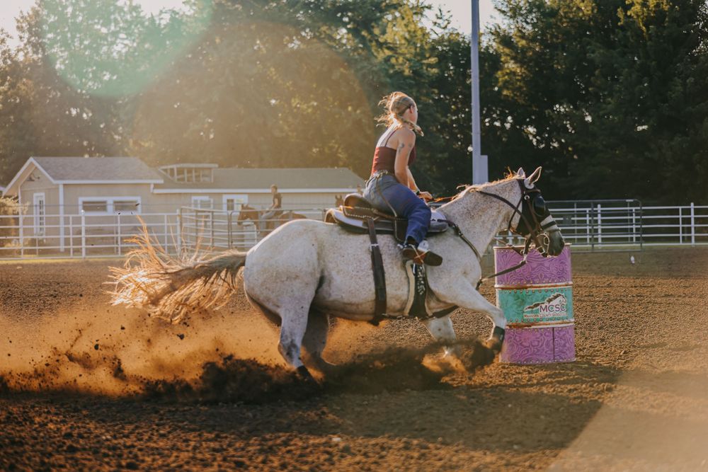 A cowgirl rides a white horse around a barrel during a rodeo competition, kicking up dust in golden sunlight.