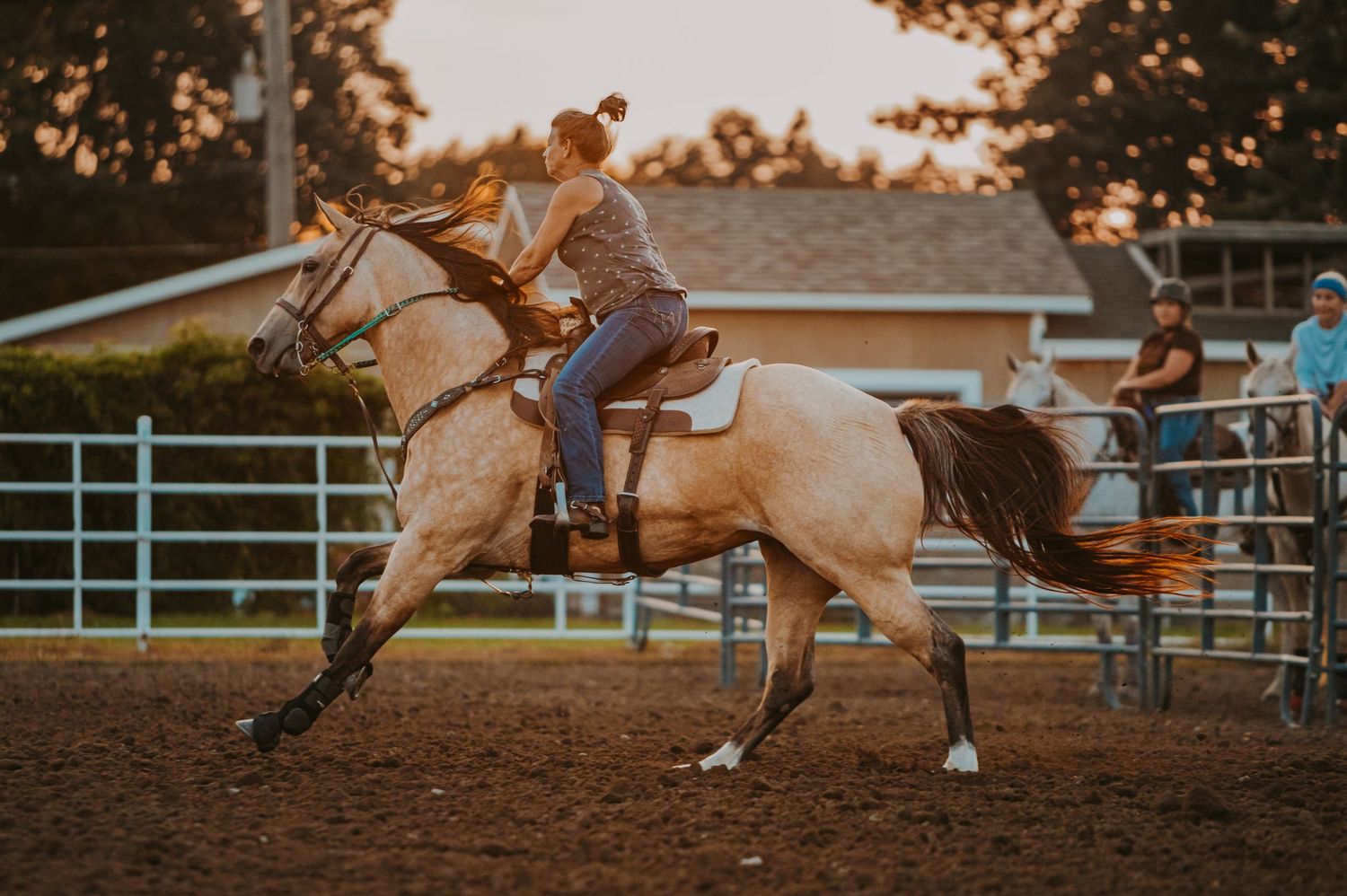 Palomino horse in arena performing dynamic turn during competitive event.
