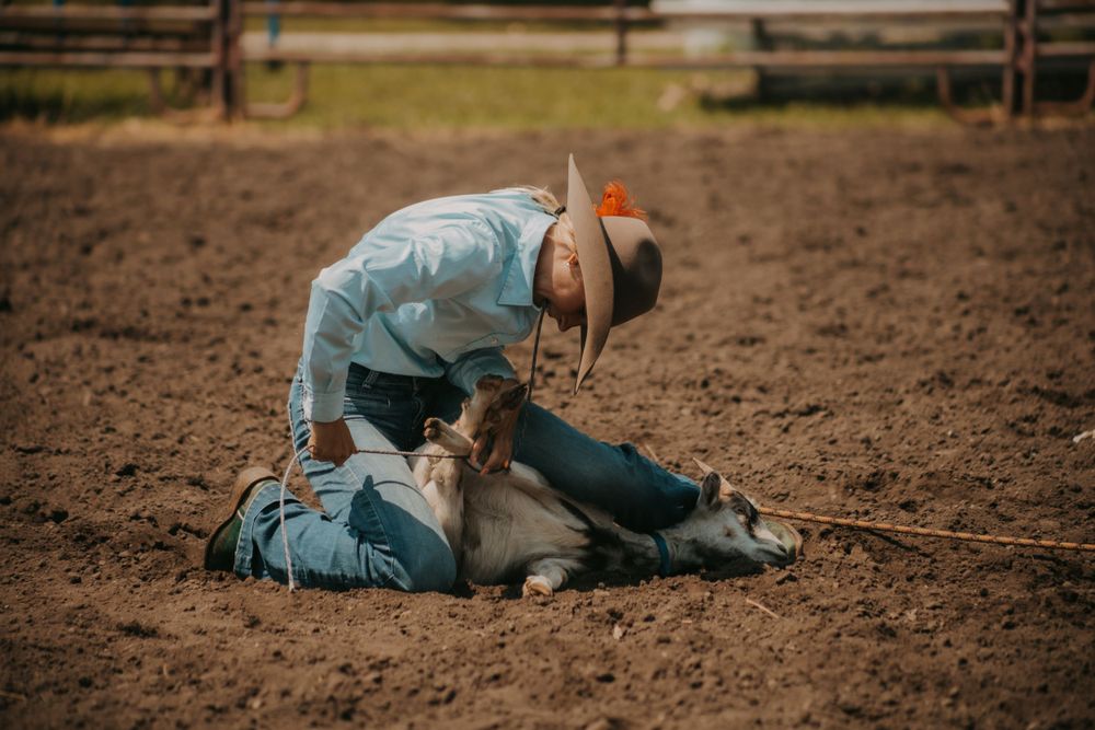 Cowboy on ground working with roped calf in rodeo competition.