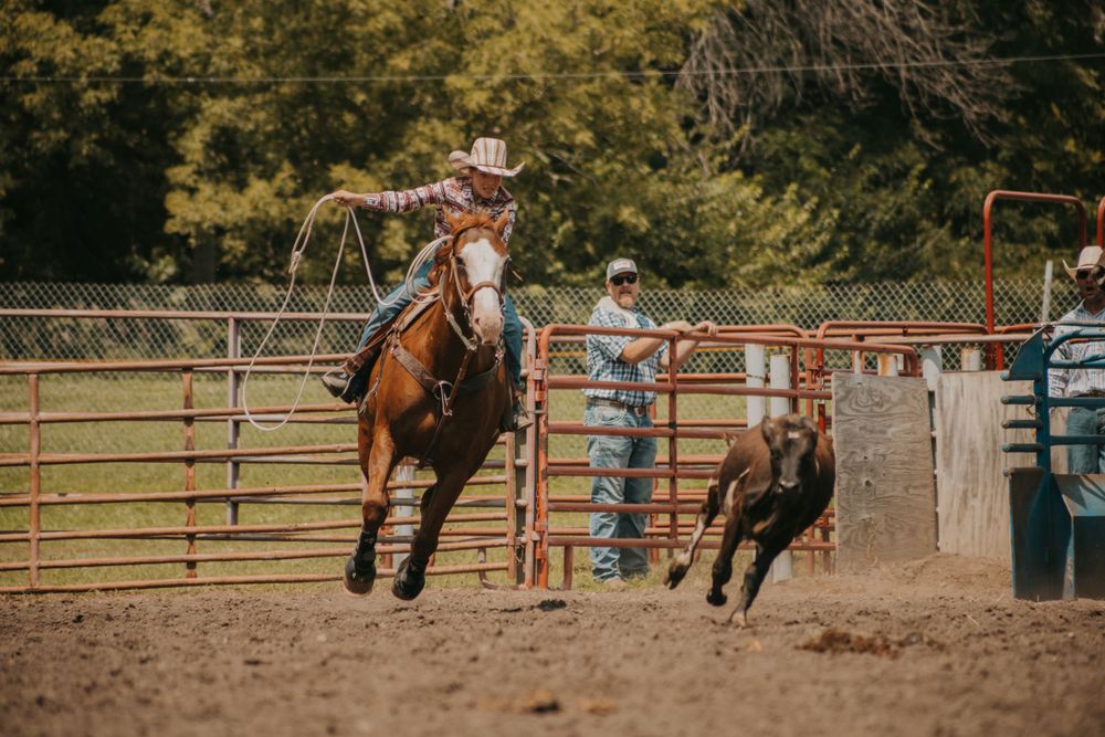 Competitor in rodeo roping event chasing after running calf.