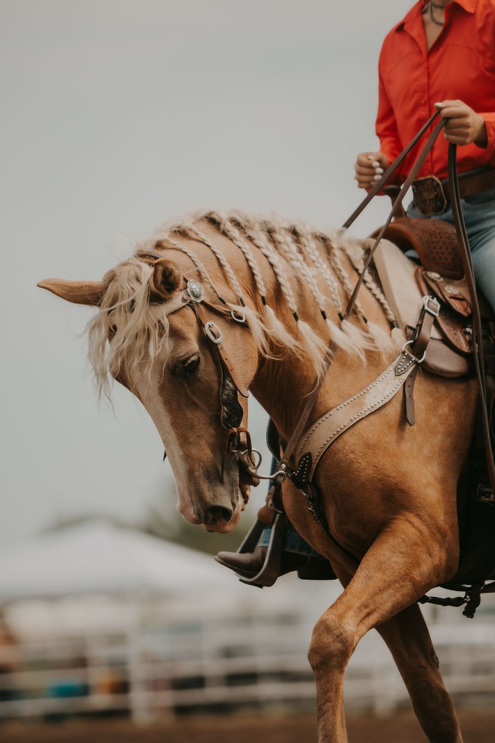 Close-up of a palomino horse with a braided mane wearing western tack.