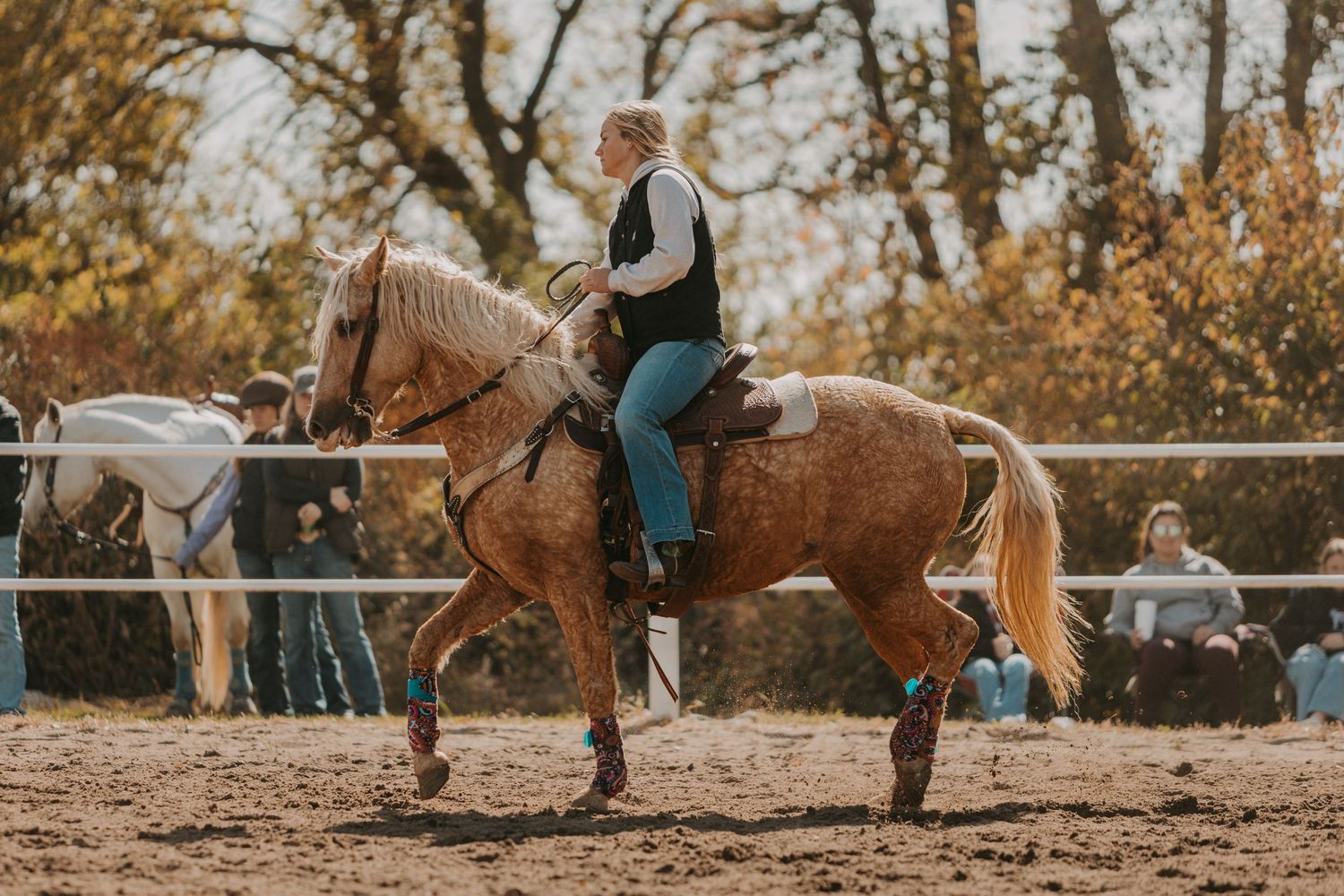 A chestnut horse with a white blaze being ridden in a dusty arena during fall with autumn trees in background.