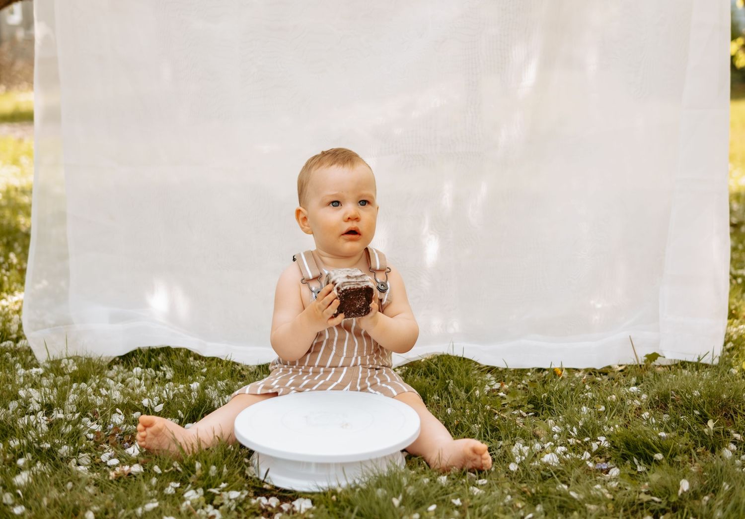 Baby in striped romper sitting on white plate surrounded by daisies and white backdrop.