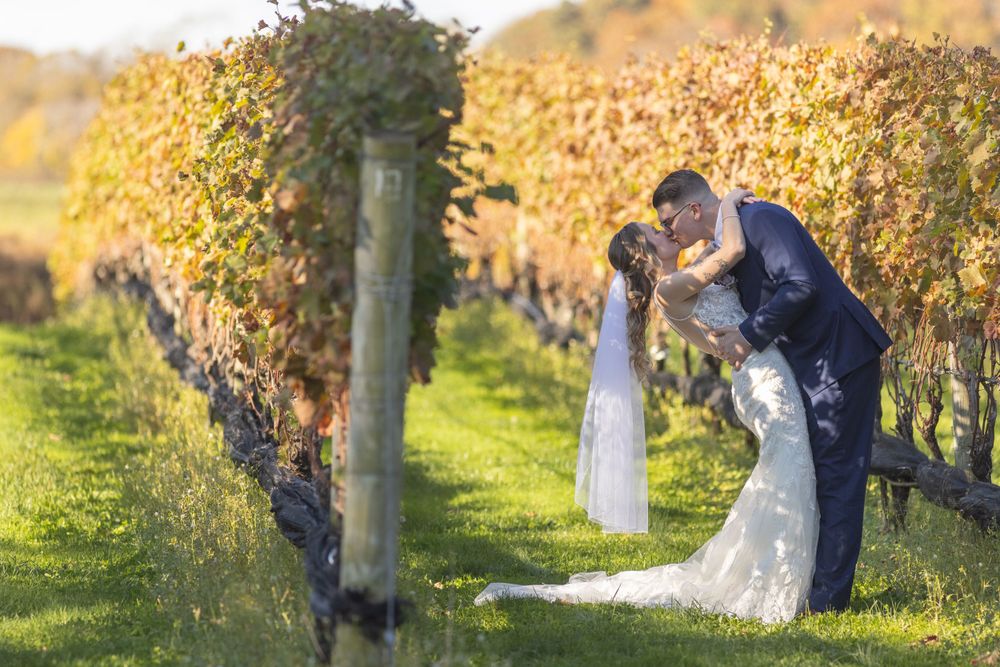 Bride and groom sharing romantic dip kiss among colorful autumn vineyard rows in golden sunlight.