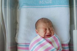 Fresh 48 newborn session, in hospital session. newborn photography Bathurst