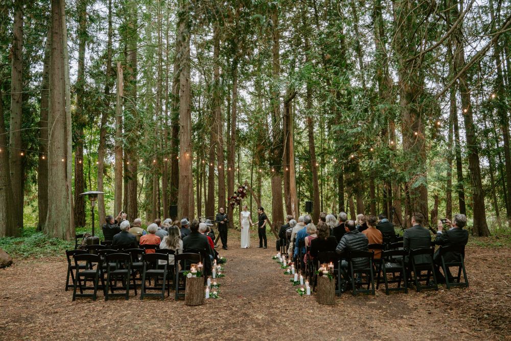 Wide shot of outdoor forest wedding ceremony with guests seated on black chairs among tall trees.