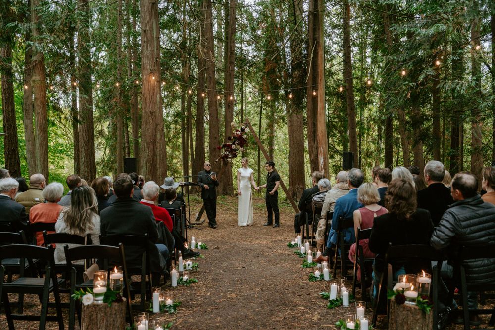 Forest wedding ceremony setup with rows of chairs and natural decor along a wooded aisle.