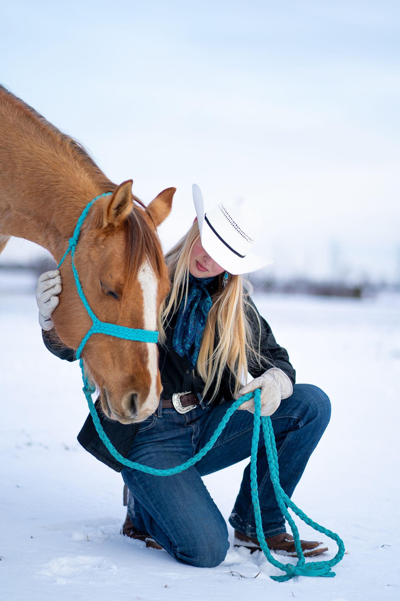 A horse with turquoise halter in snowy winter landscape.