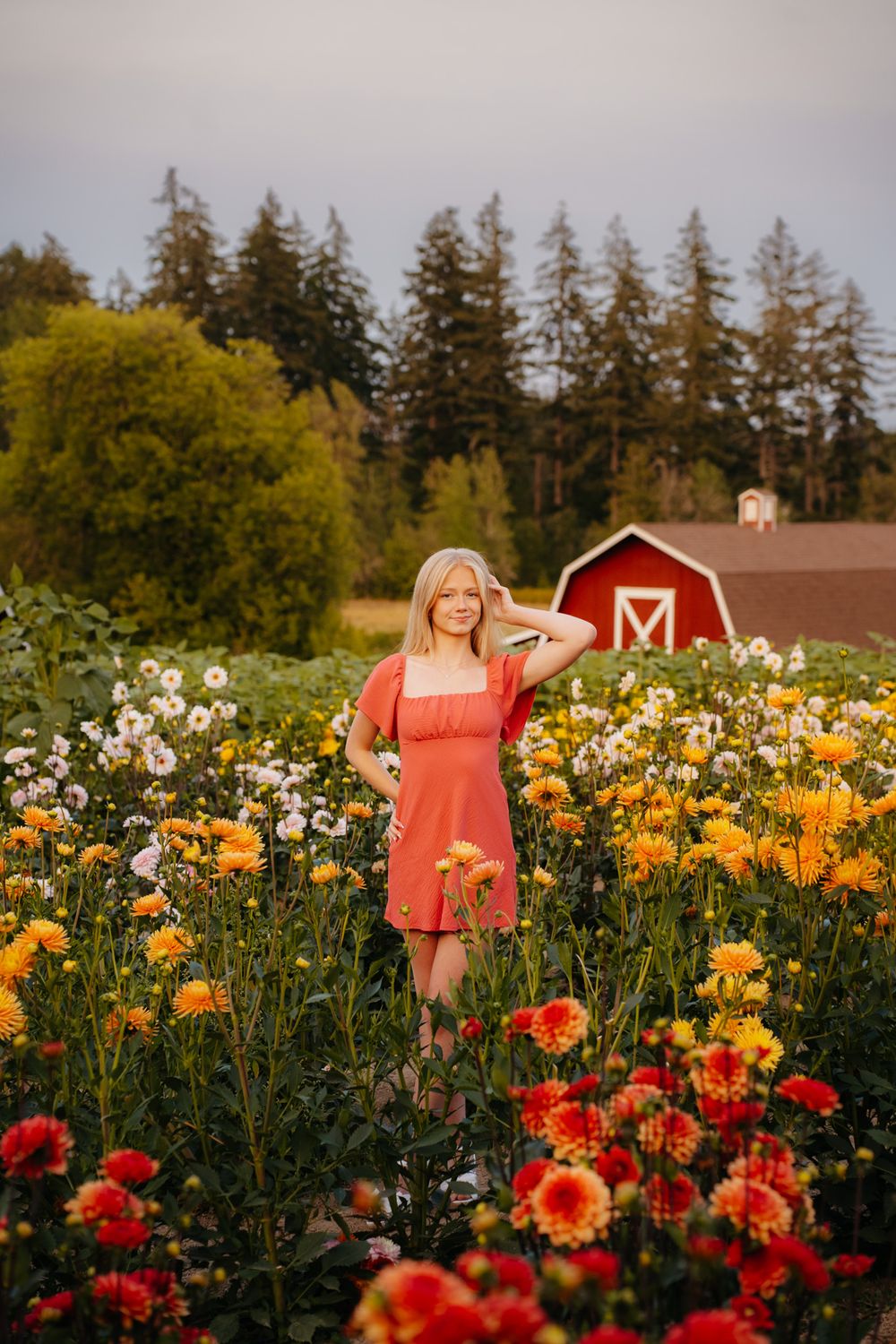 BECCAWPHOTOGRAPHY - Olympia Washington senior photography

Lynch Creek Dahlia , Shelton WA