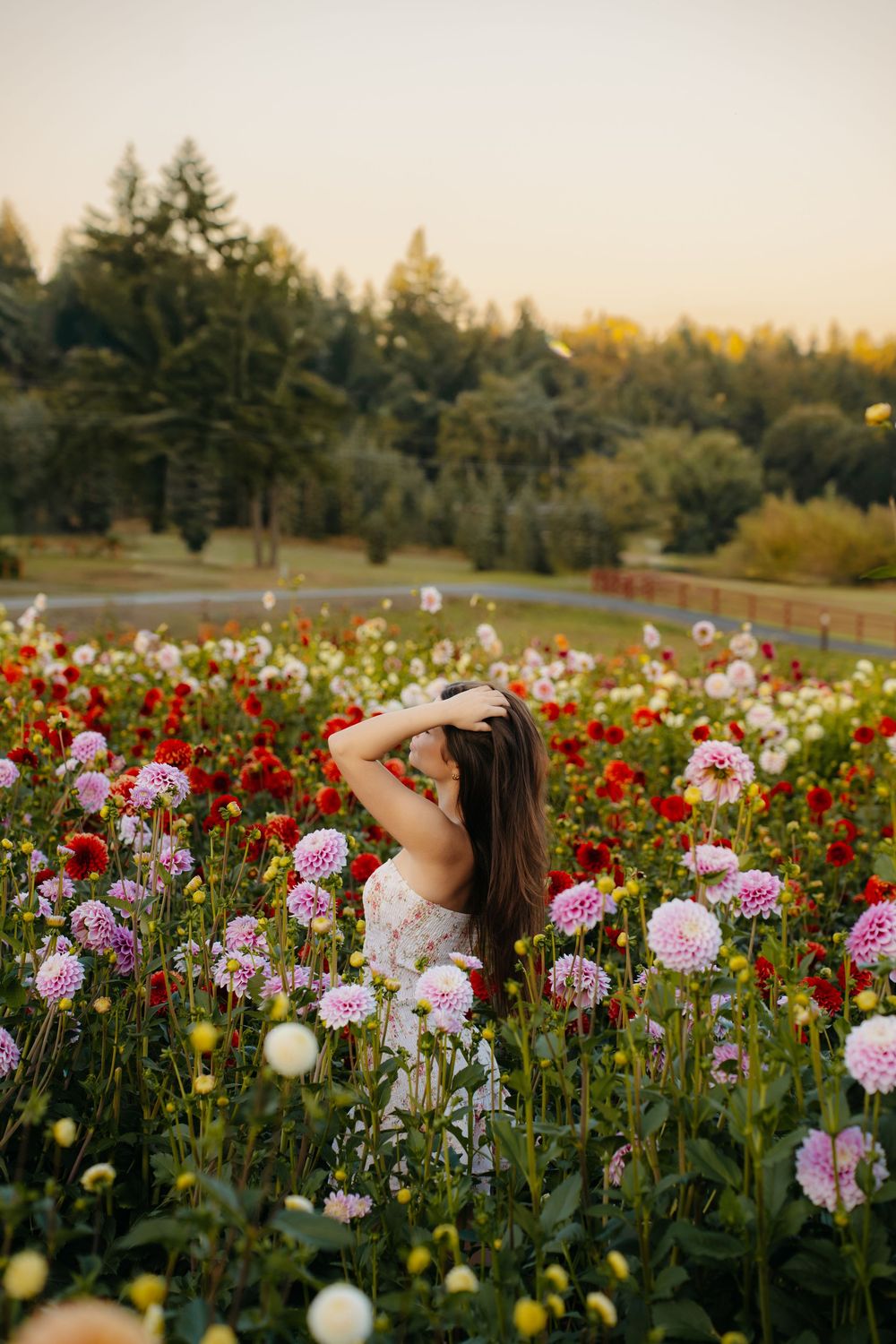 BECCAWPHOTOGRAPHY - Olympia Washington senior photography