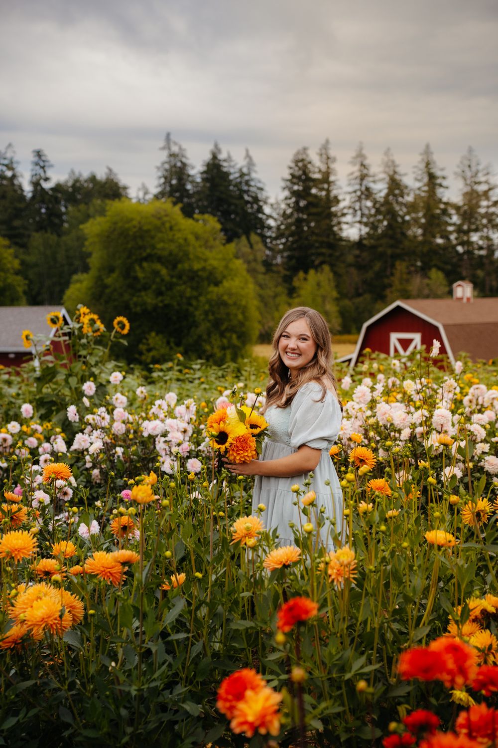 BECCAWPHOTOGRAPHY - Olympia Washington senior photography

Lynch Creek Dahlia , Shelton WA