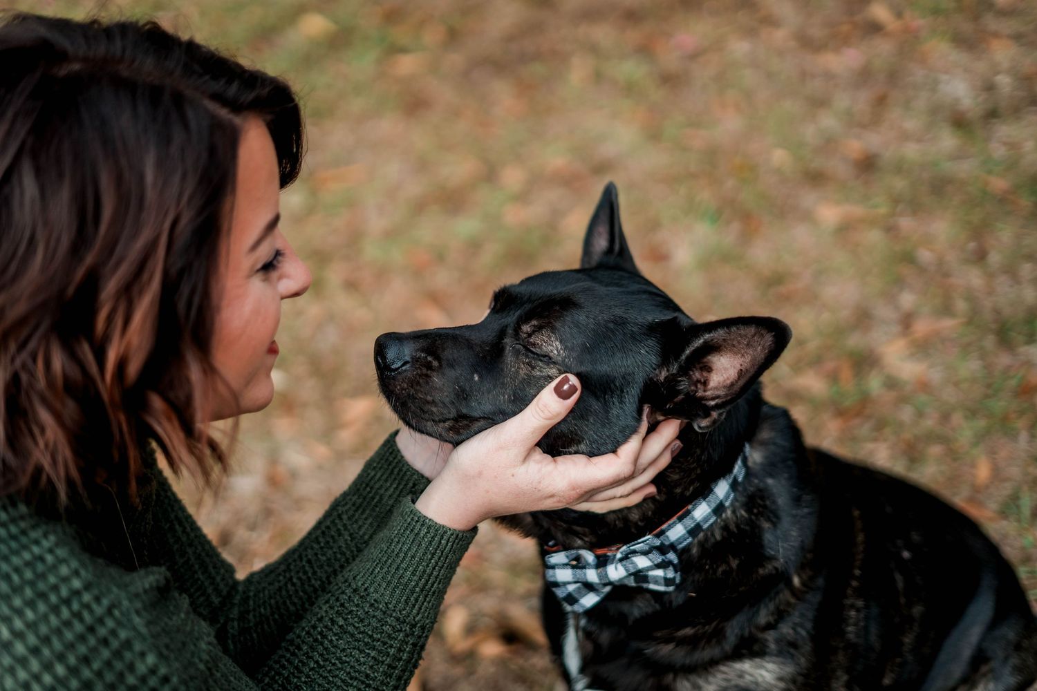 Pet photography in Fort Morgan and Gulf Shores, Alabama