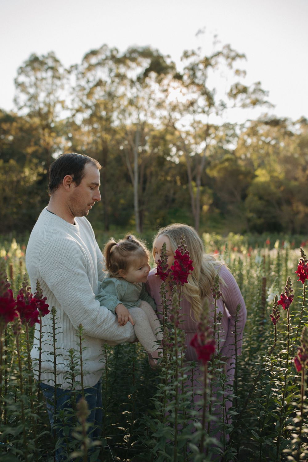 Flower Field Family Photography Brisbane