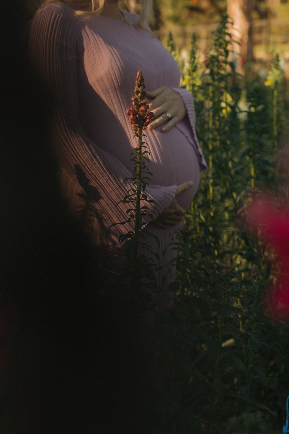 Maternity Photos Flowers