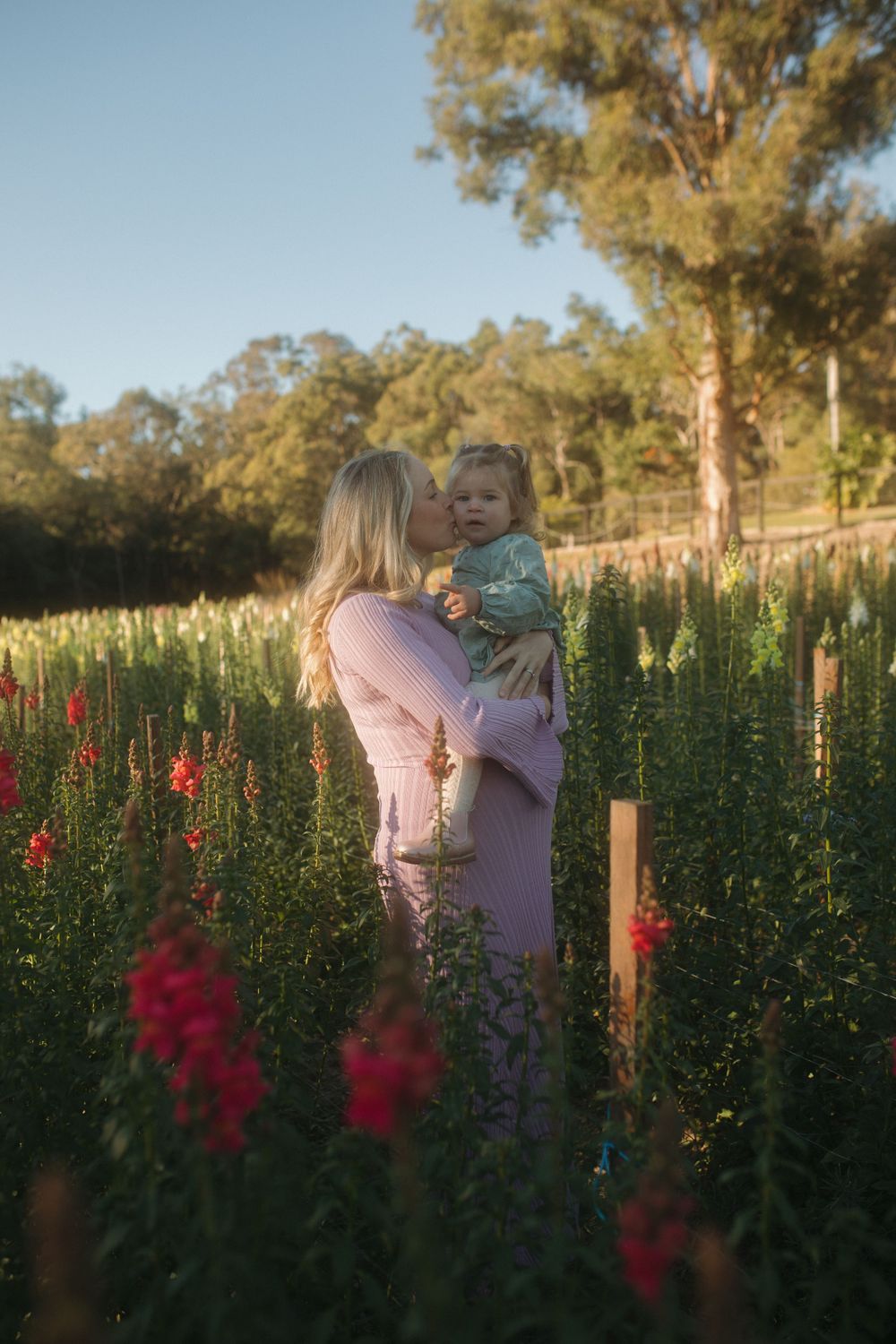 Motherhood Photos Flower Field Brisbane Bayside