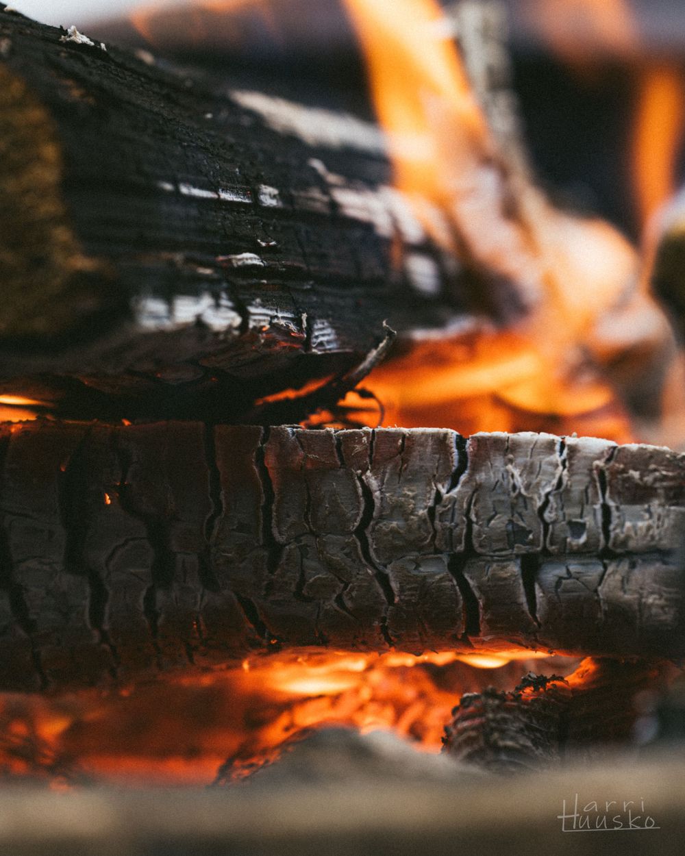 Close-up of burning logs with orange flames in a campfire.