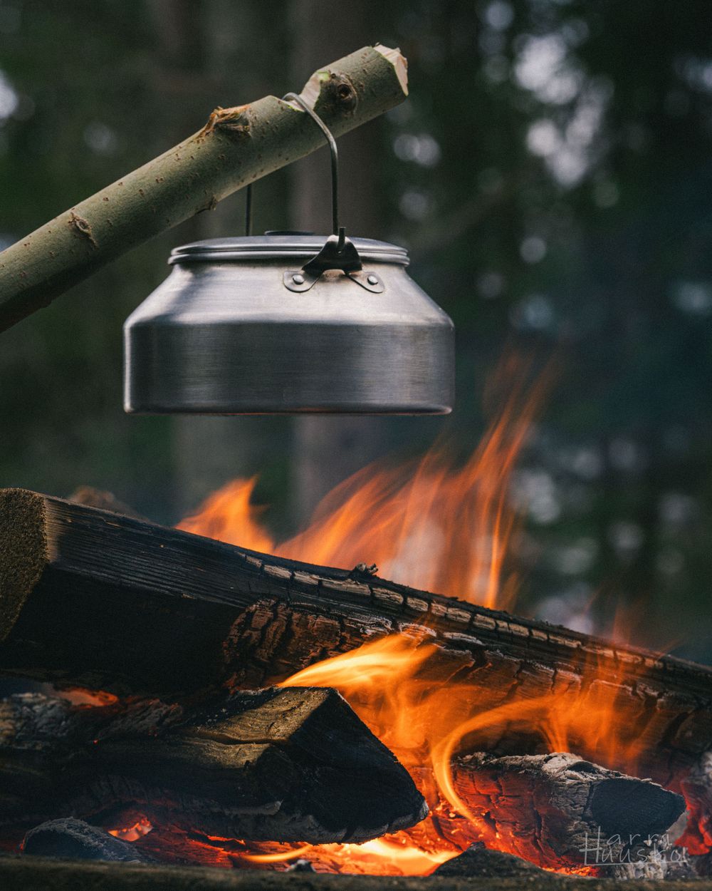 Metal kettle suspended over a campfire with burning logs below.