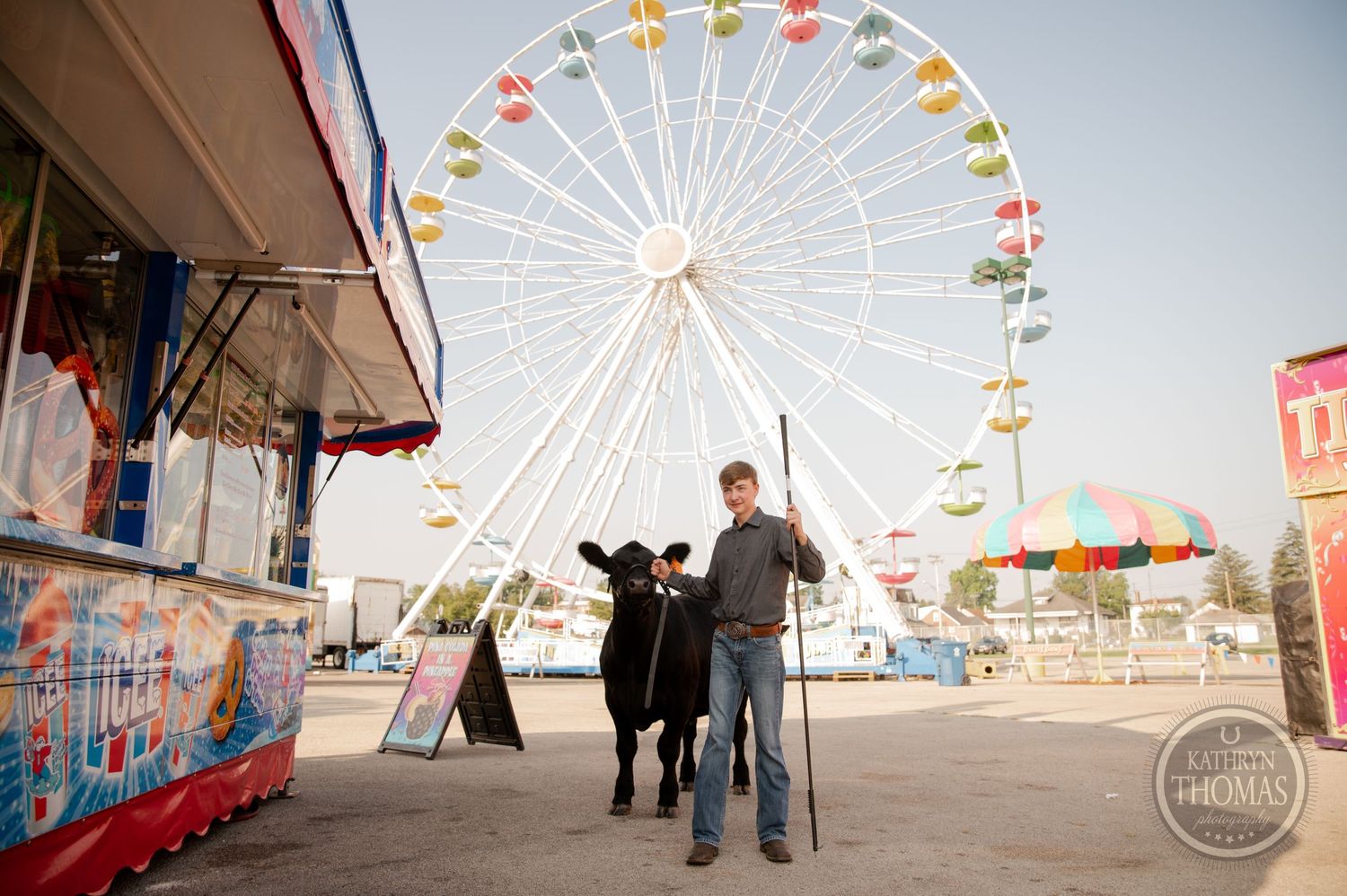 A black show cow and handler pose in front of a colorful ferris wheel at a fairground.