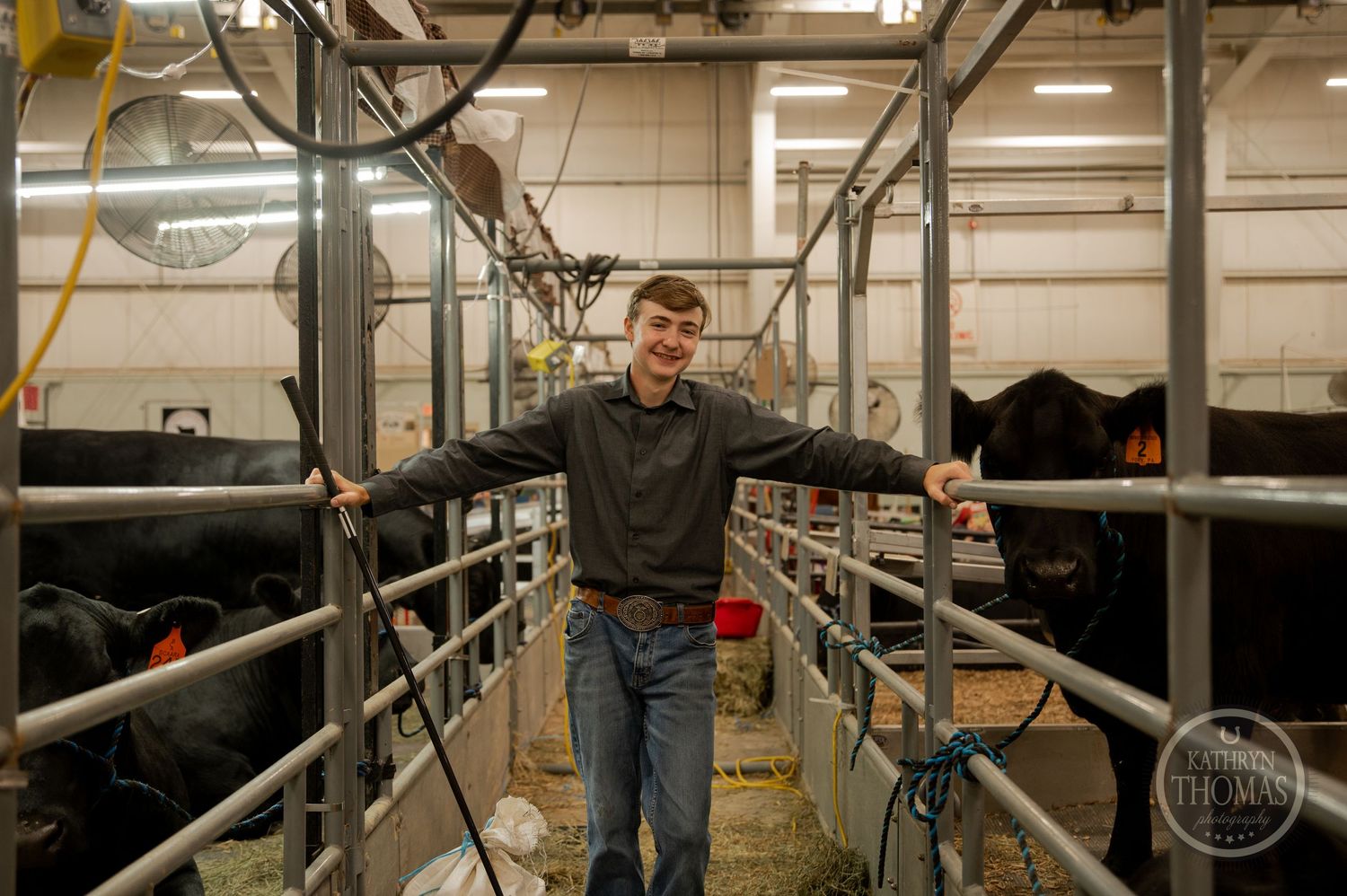 A person stands in an indoor livestock facility between metal gates and equipment.
