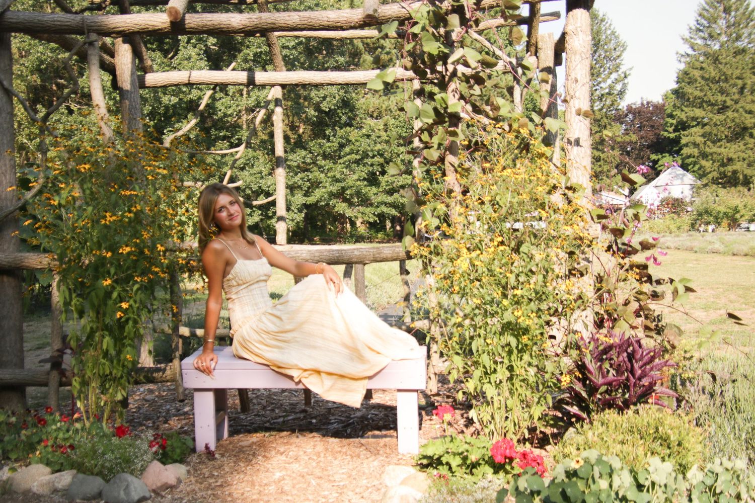 Rustic wooden pergola in a garden setting with sunlit greenery.
