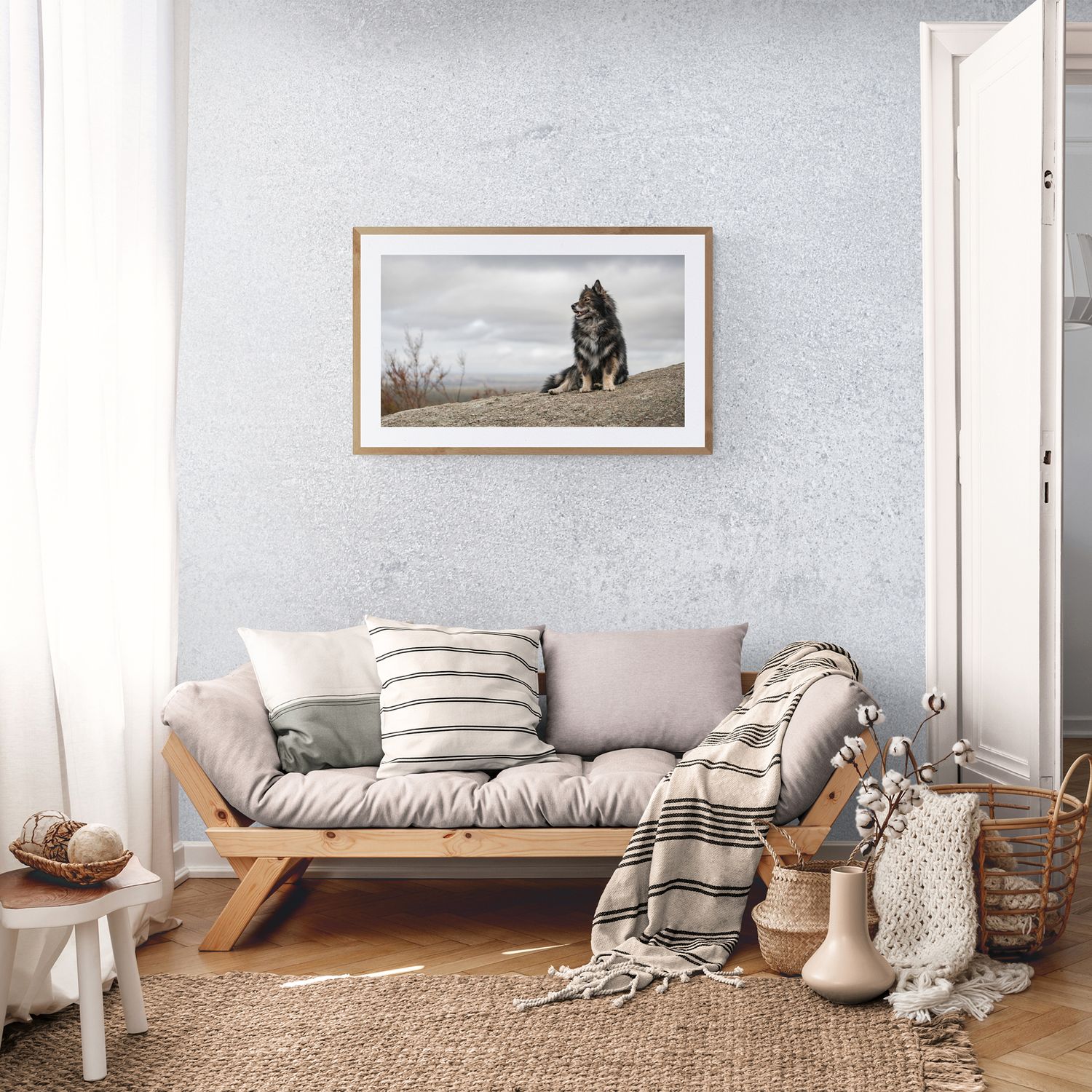 framed dog photography print this dog has won runner up best in show and is a finnish lapphund photographed in You Yangs