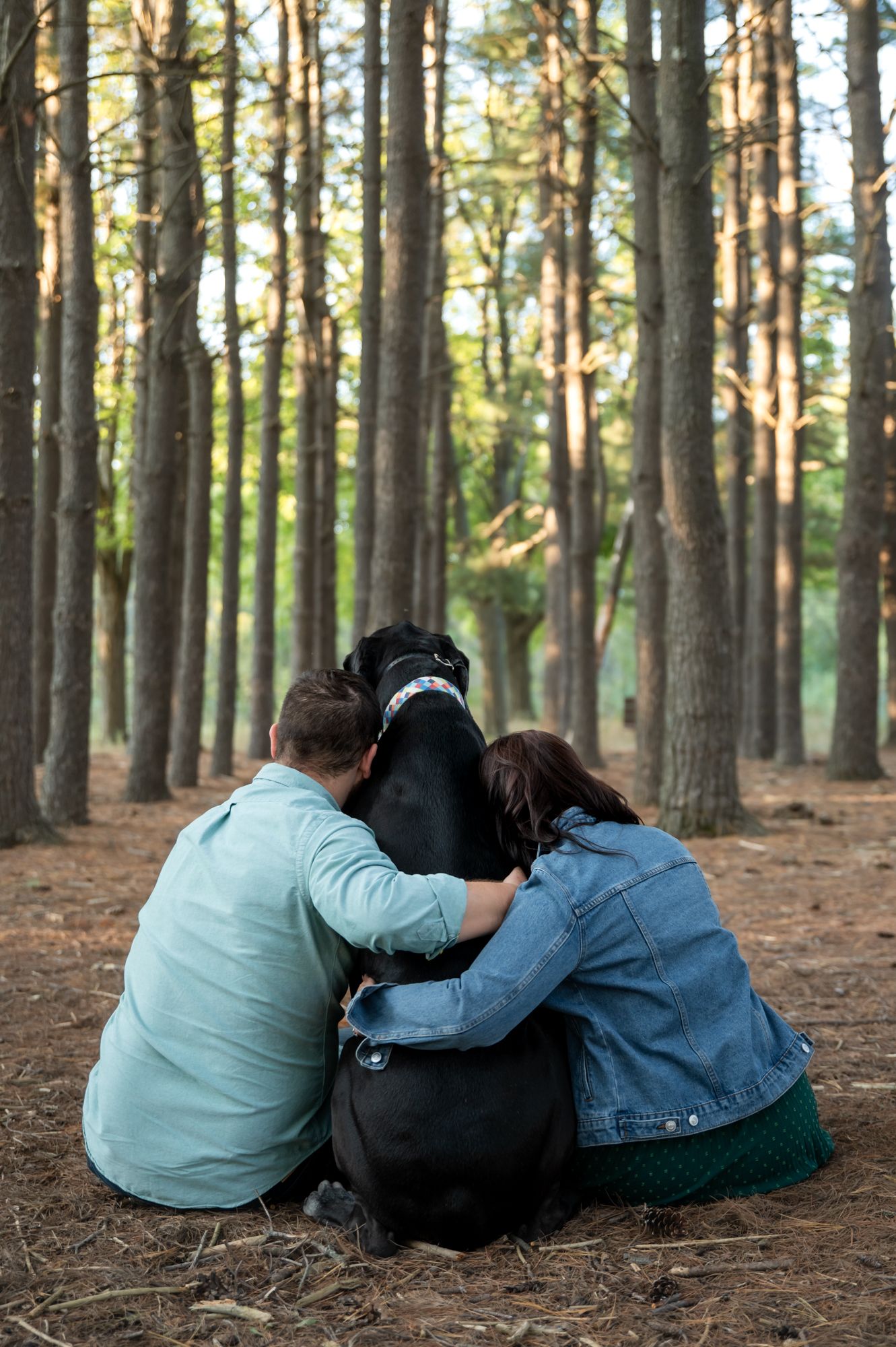 Two people sit with their black dog in a peaceful pine forest.